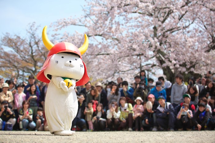 hikonyan hikonyan